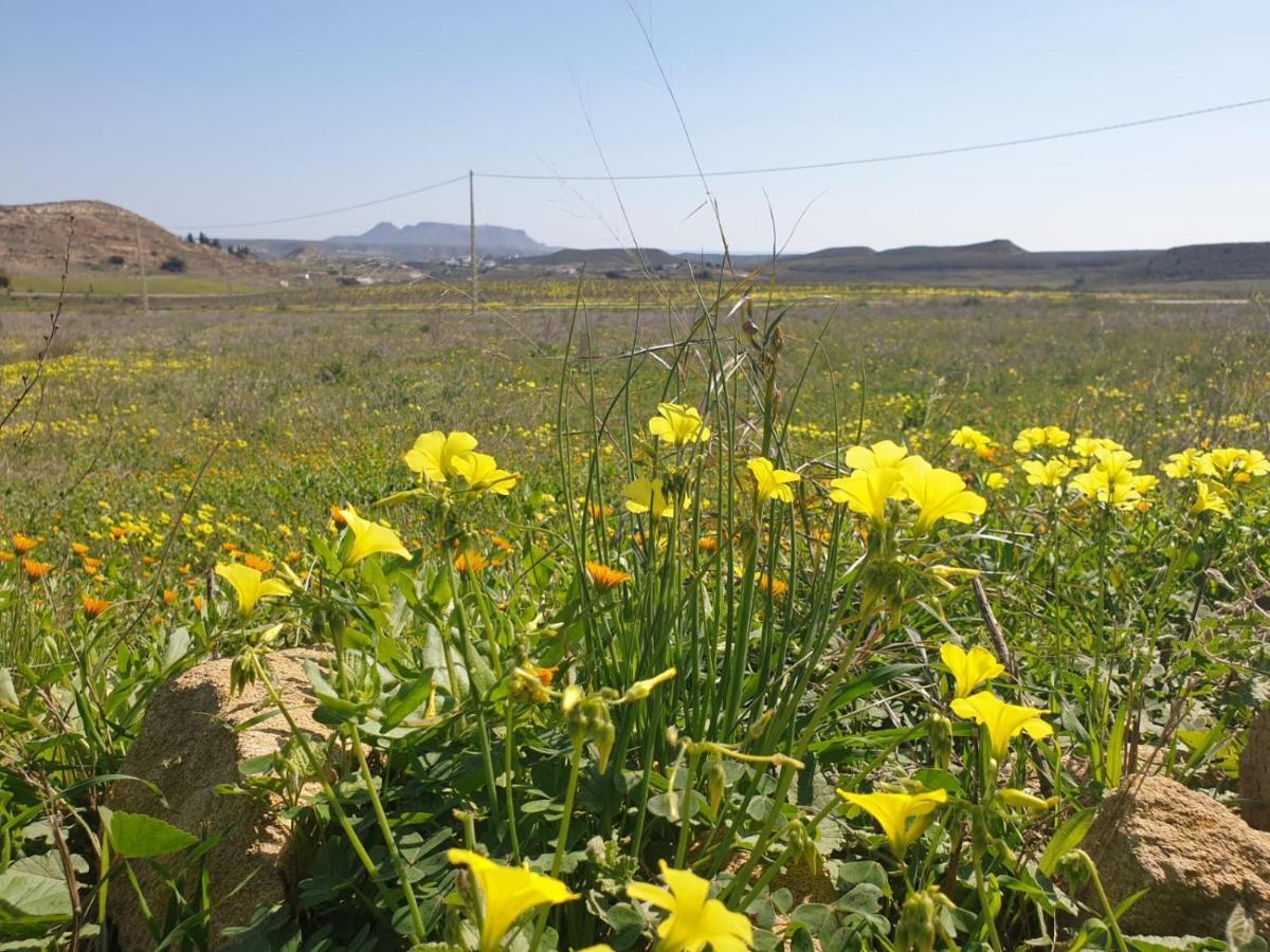 El Molino De Arriba Villa Níjar Eksteriør billede
