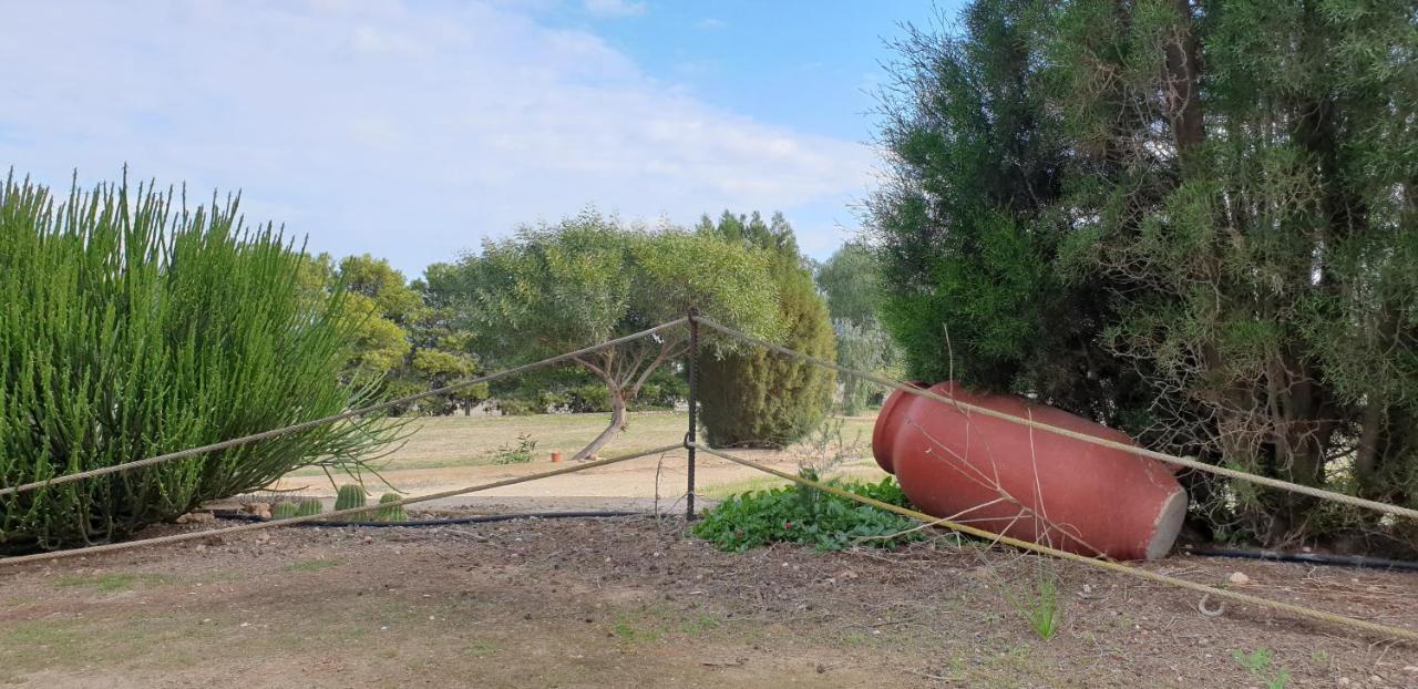El Molino De Arriba Villa Níjar Eksteriør billede