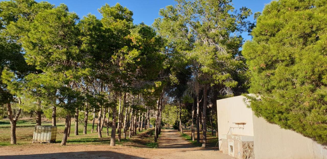 El Molino De Arriba Villa Níjar Eksteriør billede