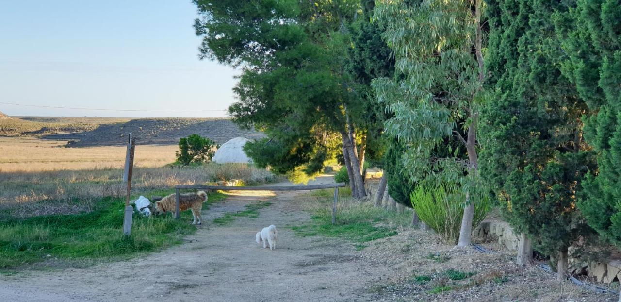 El Molino De Arriba Villa Níjar Eksteriør billede