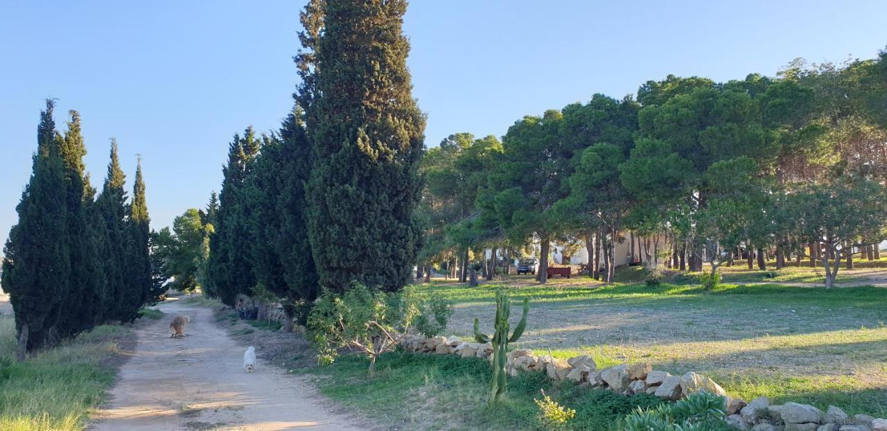 El Molino De Arriba Villa Níjar Eksteriør billede