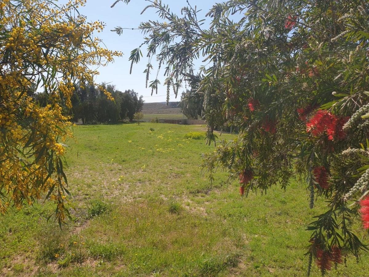 El Molino De Arriba Villa Níjar Eksteriør billede