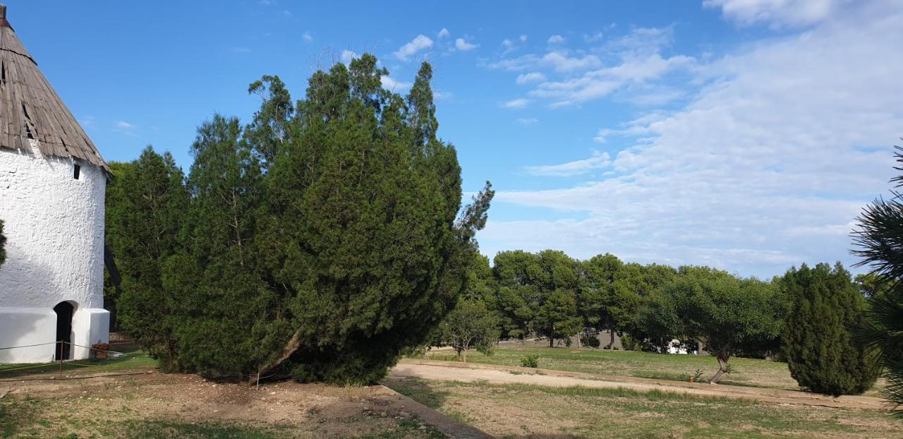 El Molino De Arriba Villa Níjar Eksteriør billede